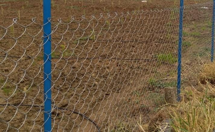 Anti-climb mesh and boundary fencing